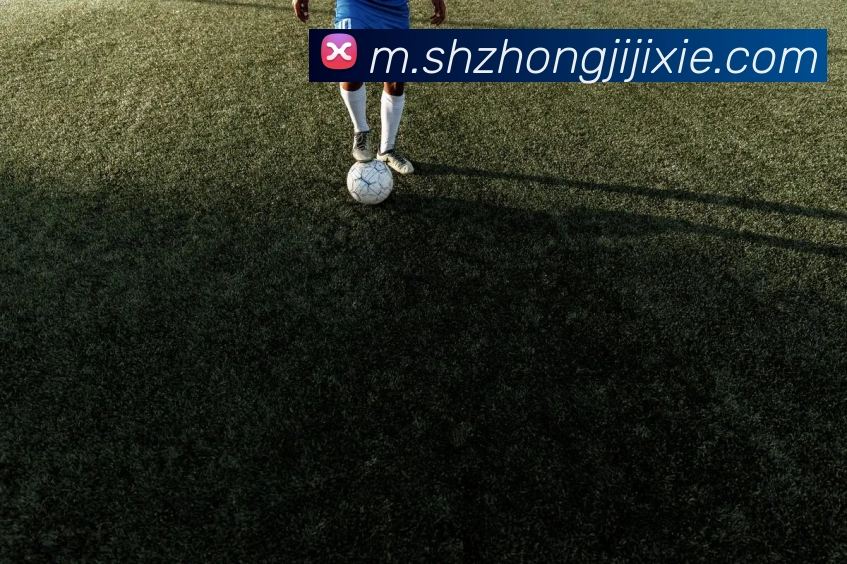 奖项4